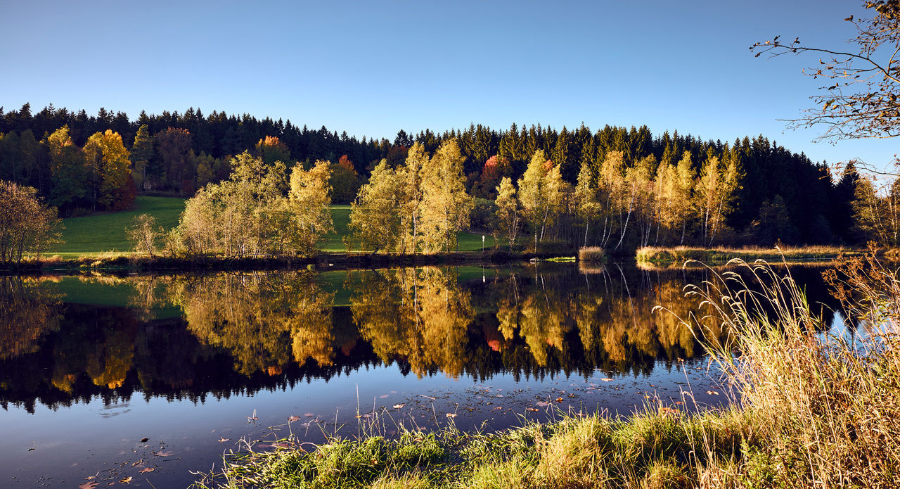 Badeweiher Hohenau Bayerischer Wald Bayern Badeurlaub Badeseen